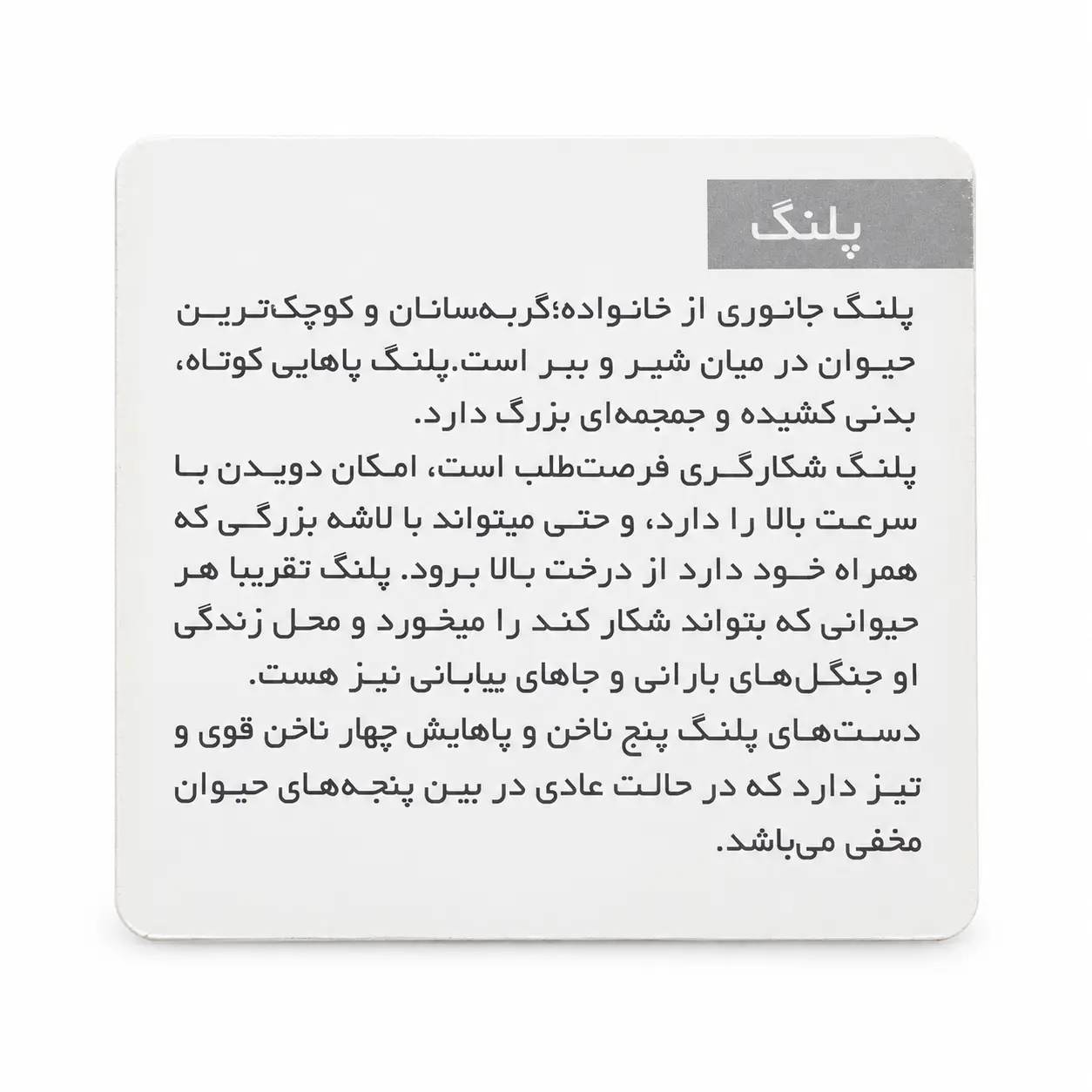 فلش کارت حیوانات لیدا جور lida