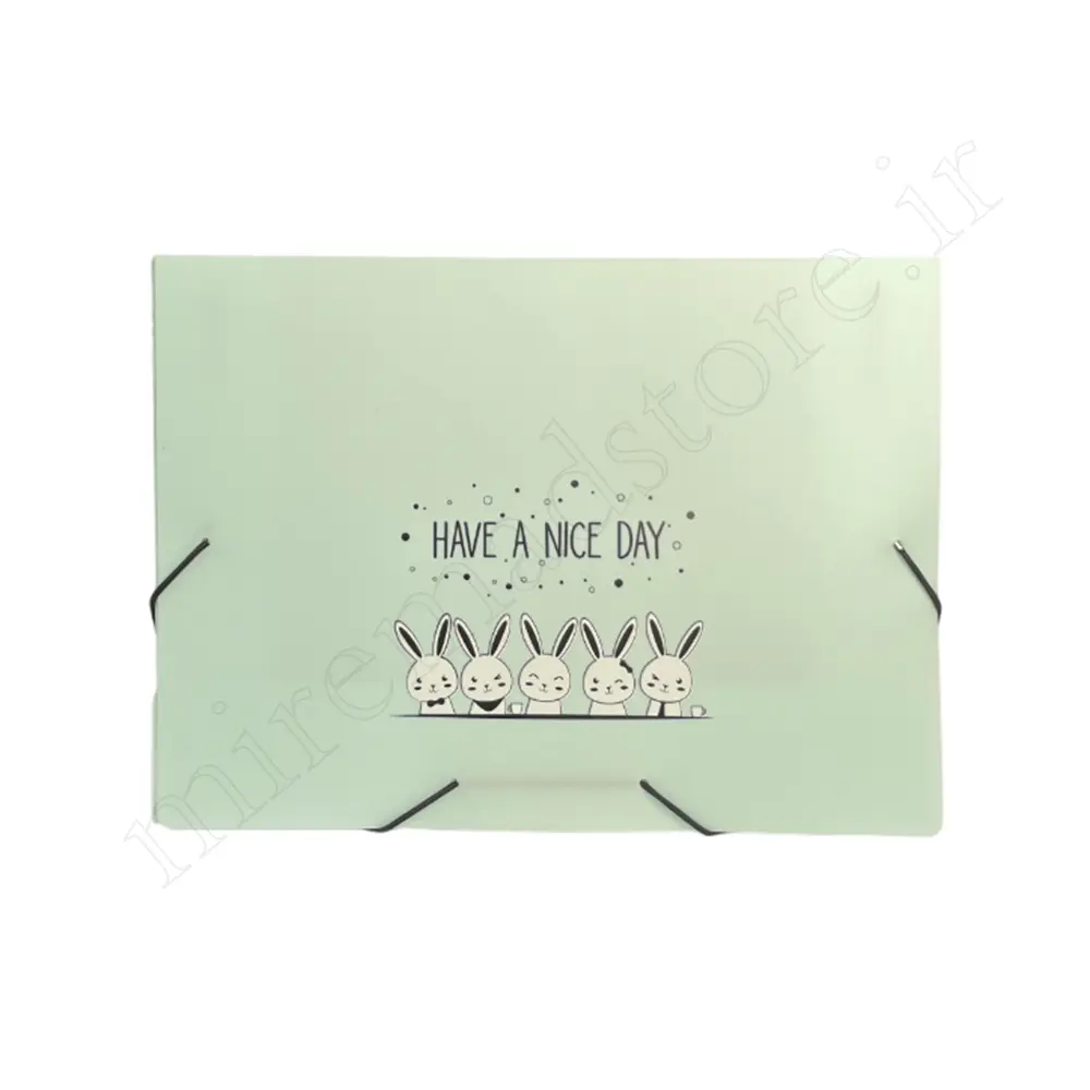 پوشه کش دار فانتزی پاپکو PAPCO DC-4118