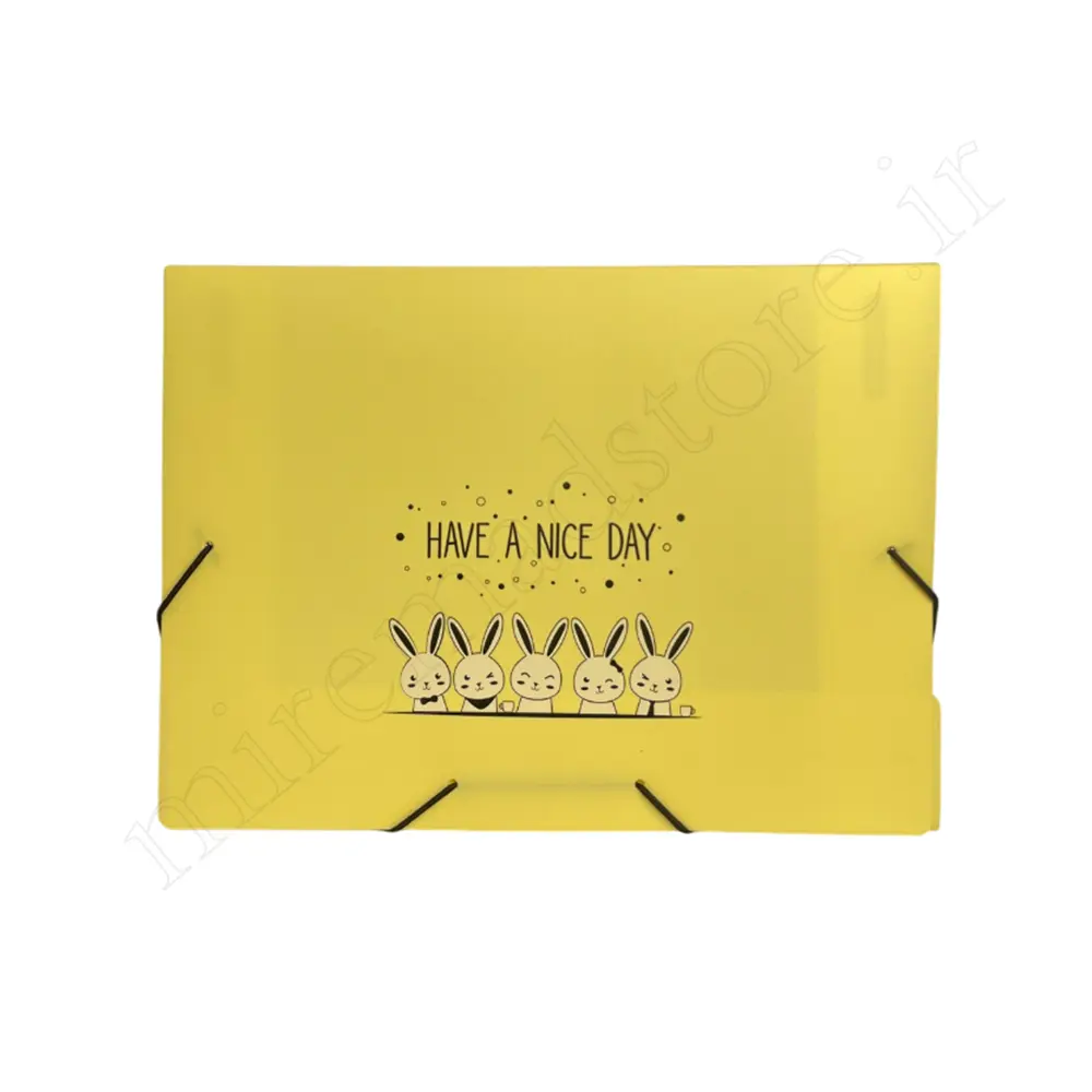 پوشه کش دار فانتزی پاپکو PAPCO DC-4118