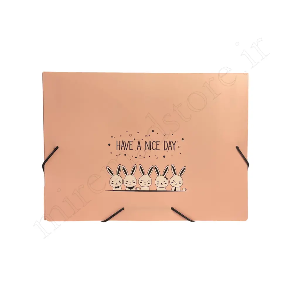 پوشه کش دار فانتزی پاپکو PAPCO DC-4118