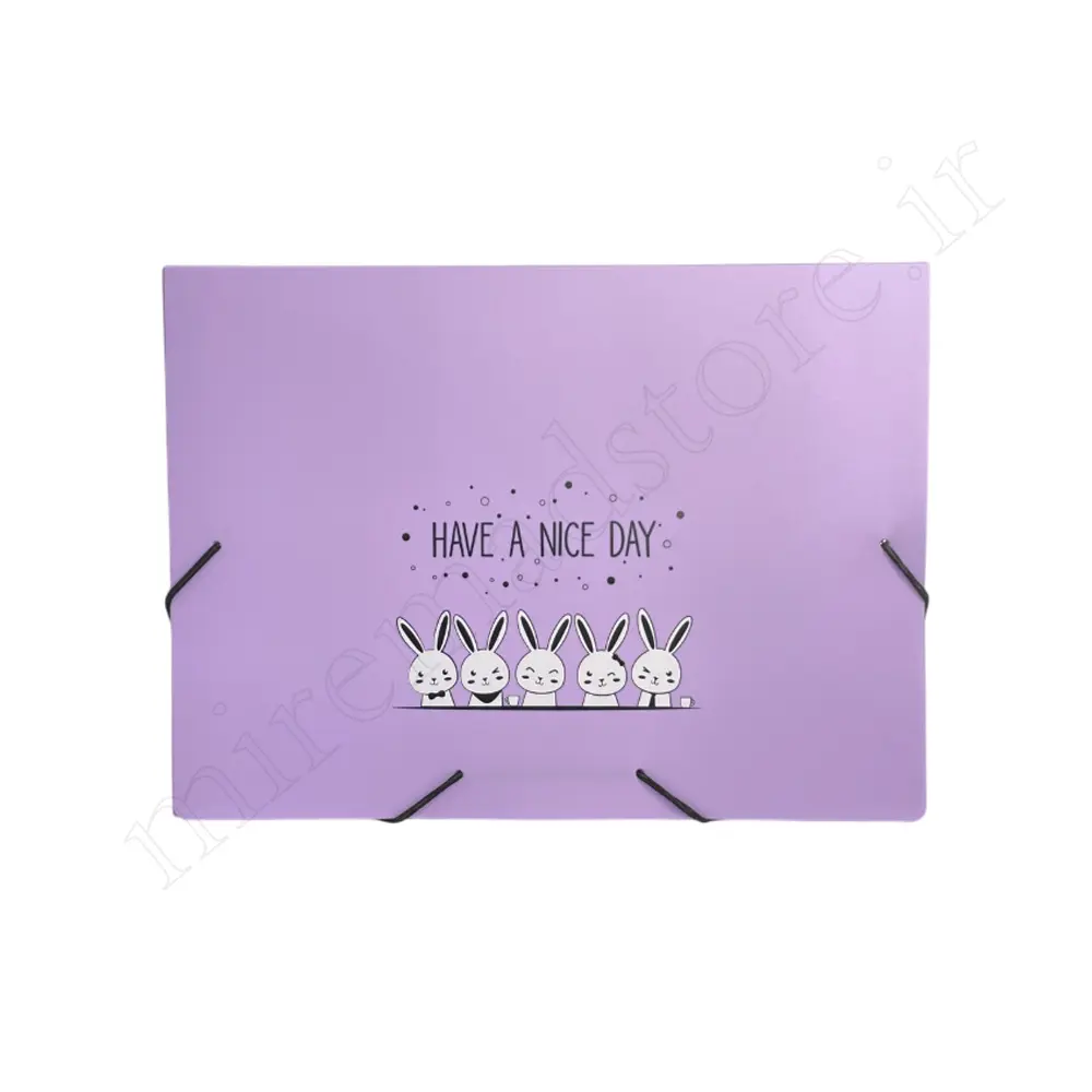 پوشه کش دار فانتزی پاپکو PAPCO DC-4118