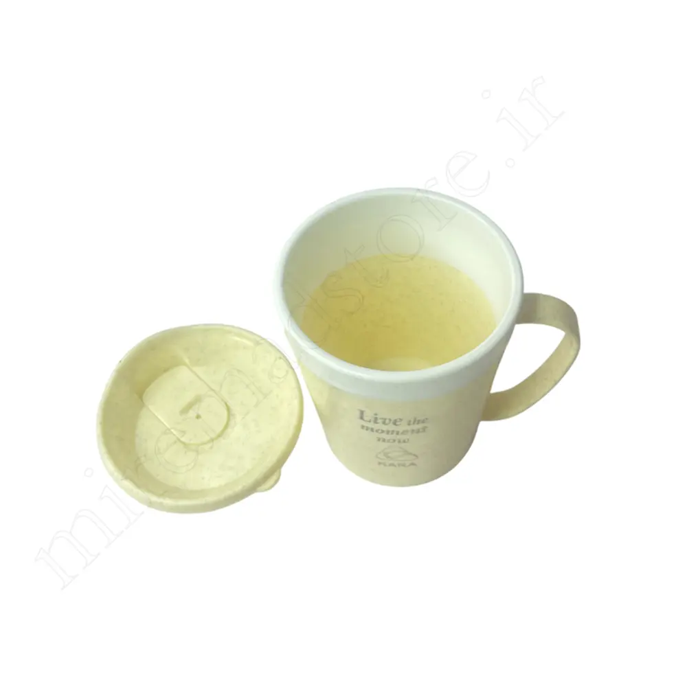 لیوان دوجداره کاراKARA 6879