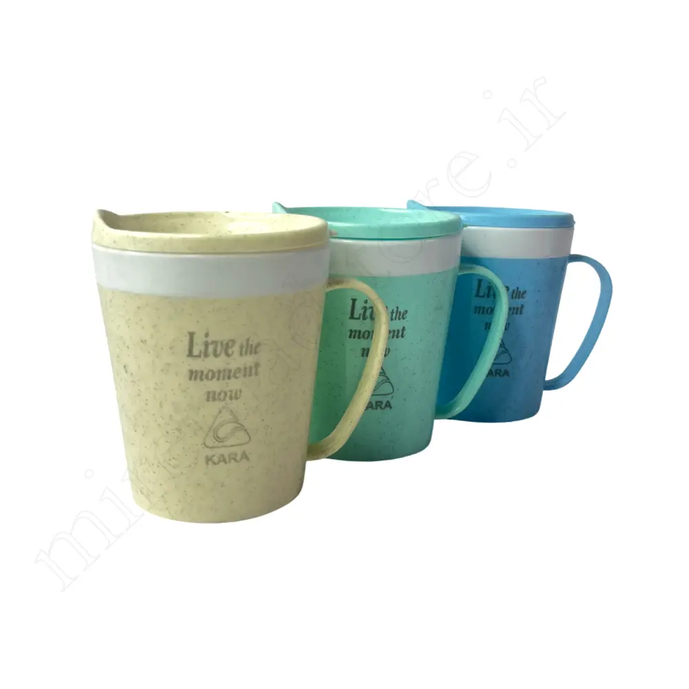 لیوان دوجداره کاراKARA 6879