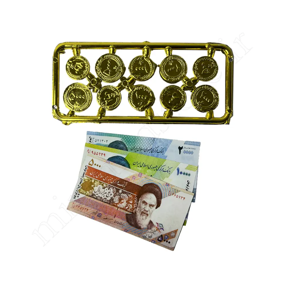 سکه واسکناس آموزشی COIN
