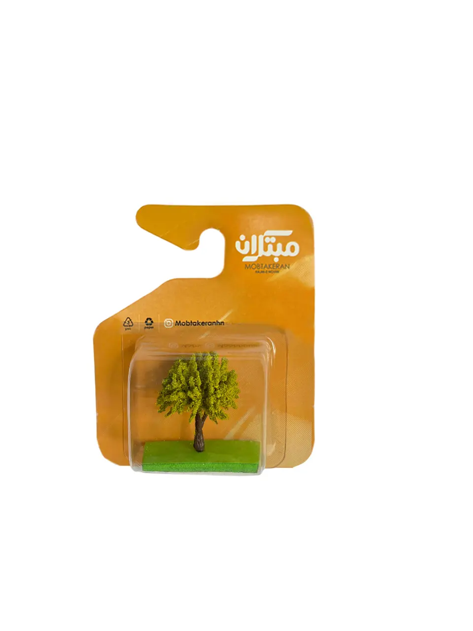 درخت نارون مبتکرانMOBTAKERAN2425