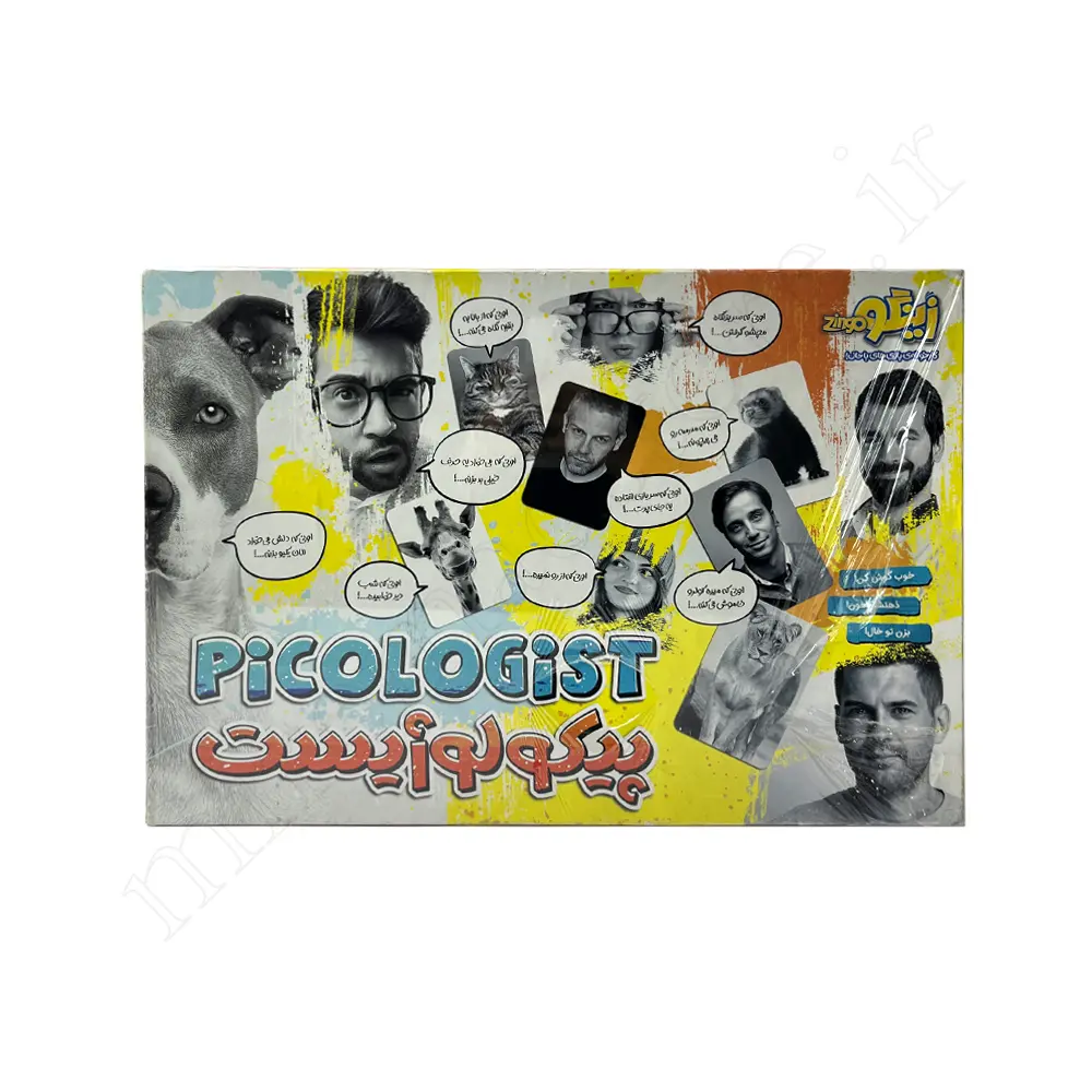 بازی فکری زینگو PICOLOGIST 3419