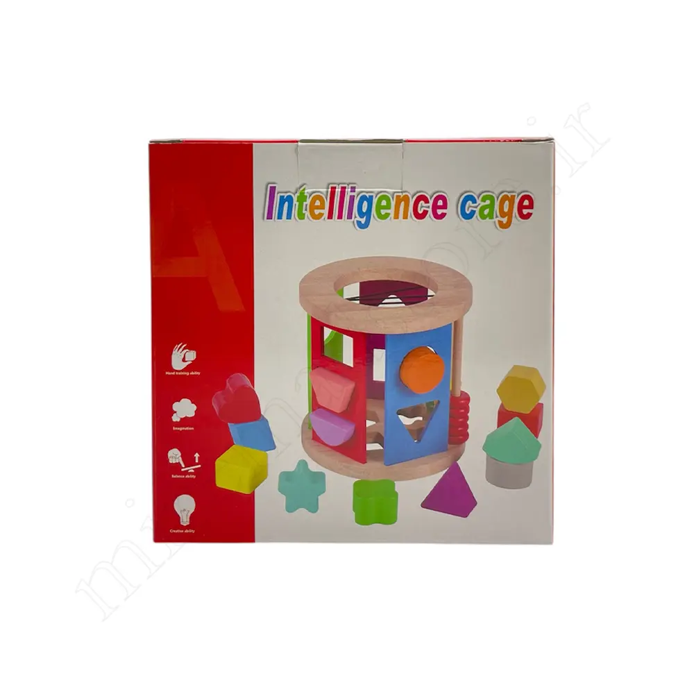 بازی فکری قفس هوش چوبی intelligence cage