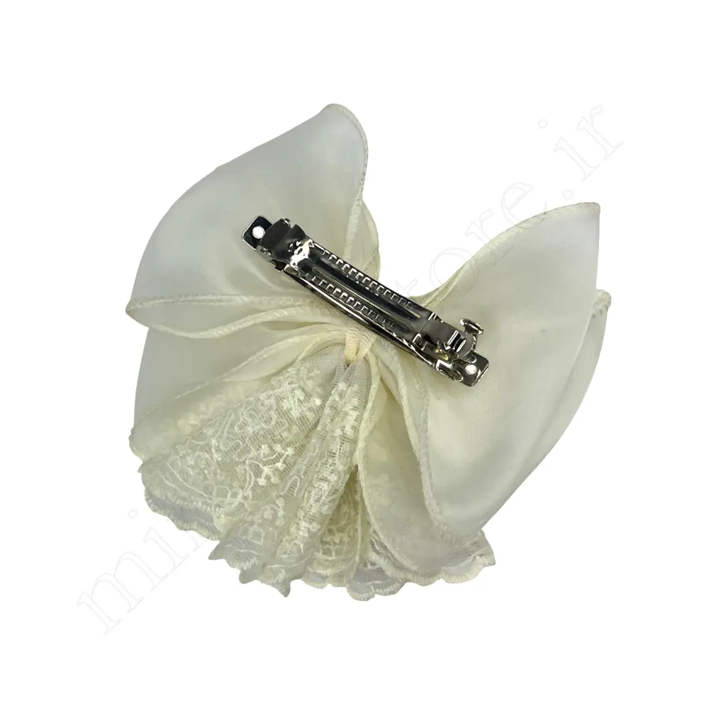 گیره مو کلاسیک Hair Clip