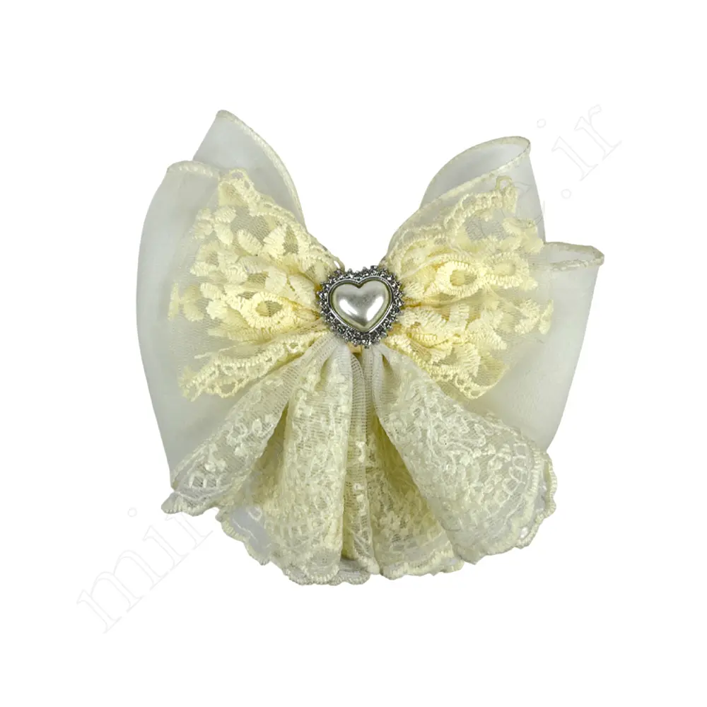 گیره مو کلاسیک Hair Clip