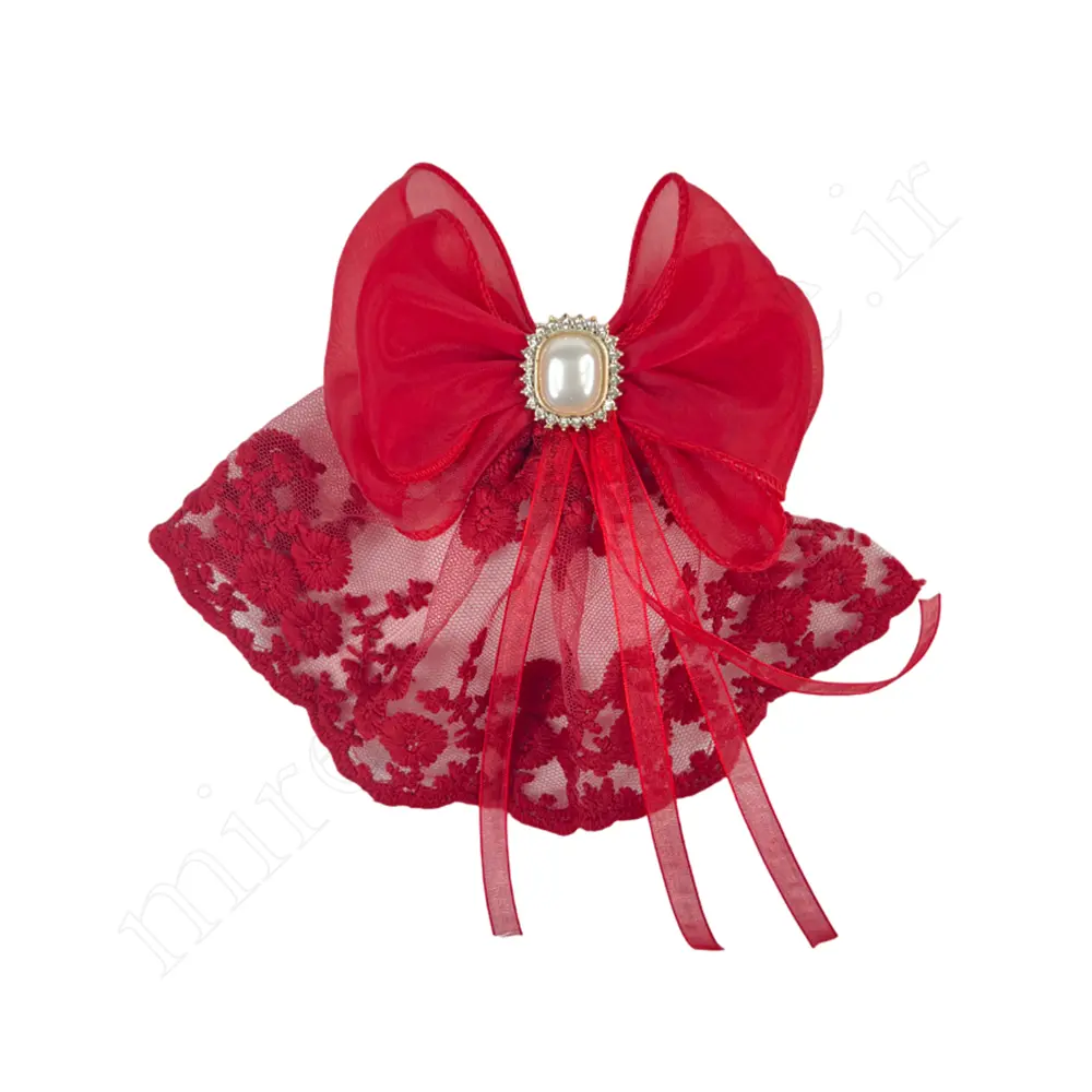 گیره مو کلاسیک Hair Clip