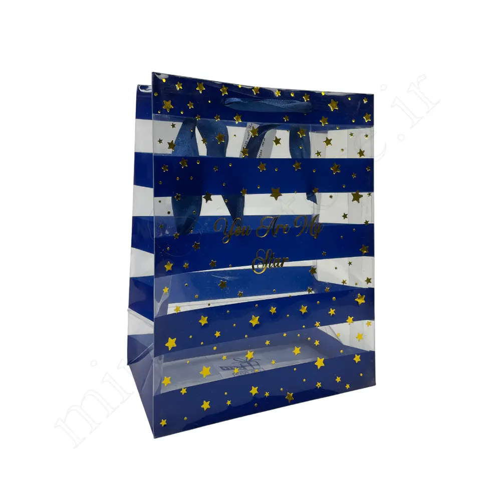 بگ هدیه فانتزی GIFT BAG NO:GP003