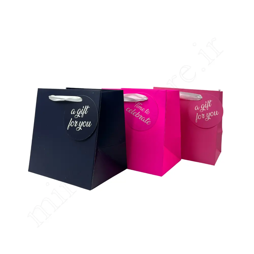 بگ هدیه مینیمالGift Bag NO:GP1088