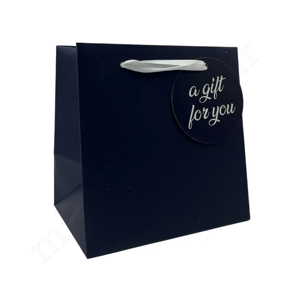 بگ هدیه مینیمالGift Bag NO:GP1088