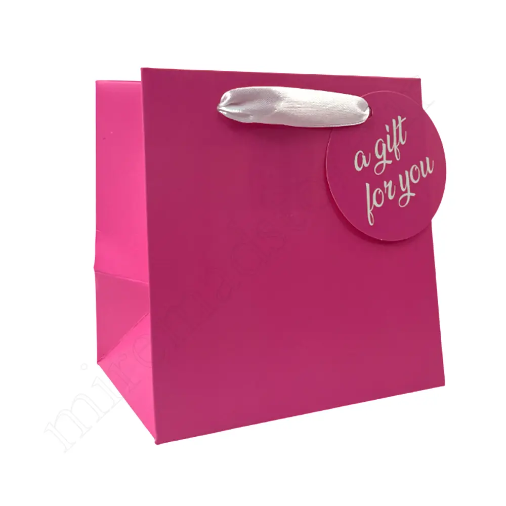 بگ هدیه مینیمالGift Bag NO:GP1088