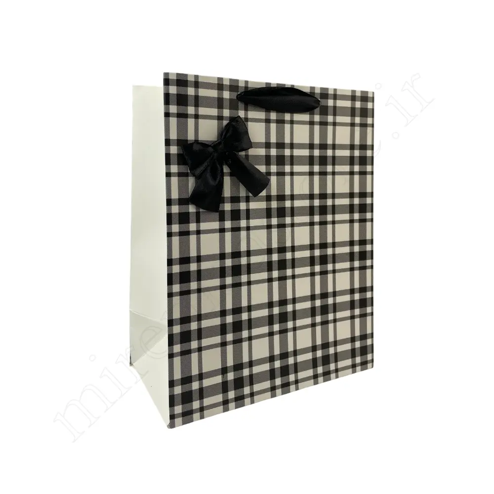 بگ هدیه فانتزیGift Bag NO:GP1065