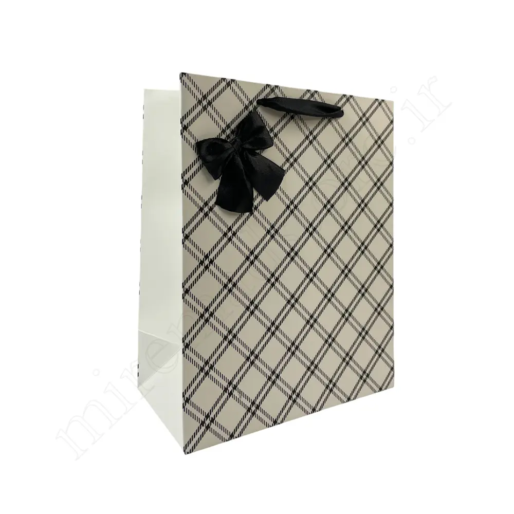 بگ هدیه فانتزیGift Bag NO:GP1065