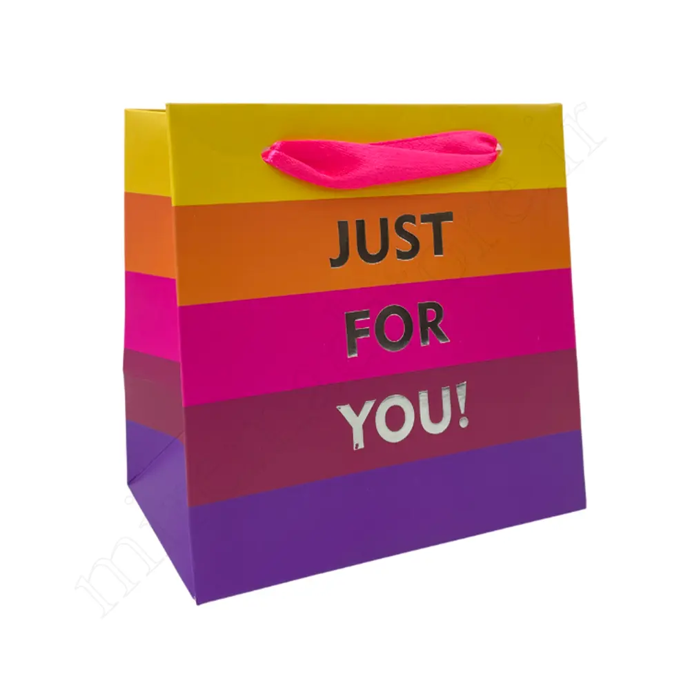 بگ هدیه فانتزیGift Bag NO:GP416