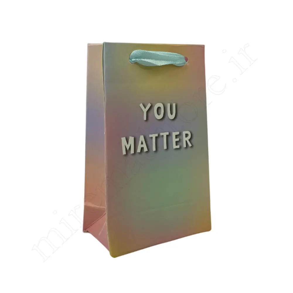 بگ هدیه فانتزی GIFT BAG NO:5538