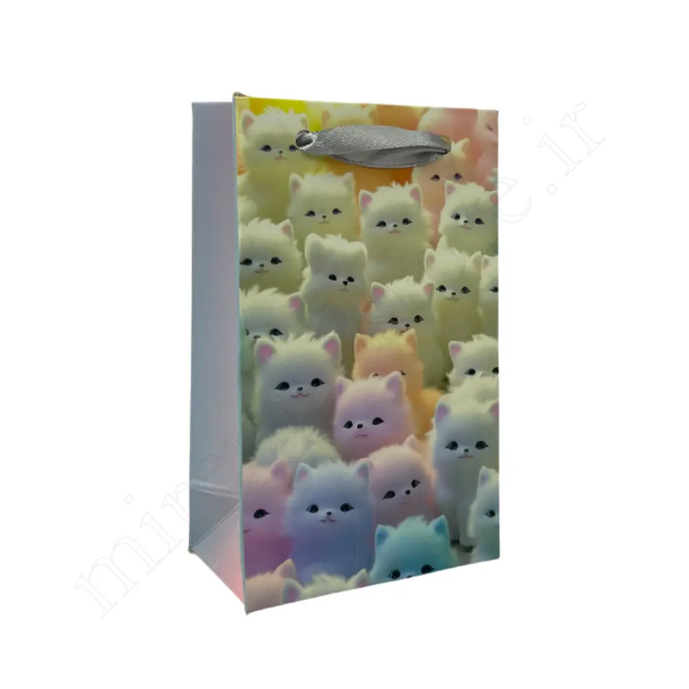 بگ هدیه فانتزی GIFT BAG NO:5538