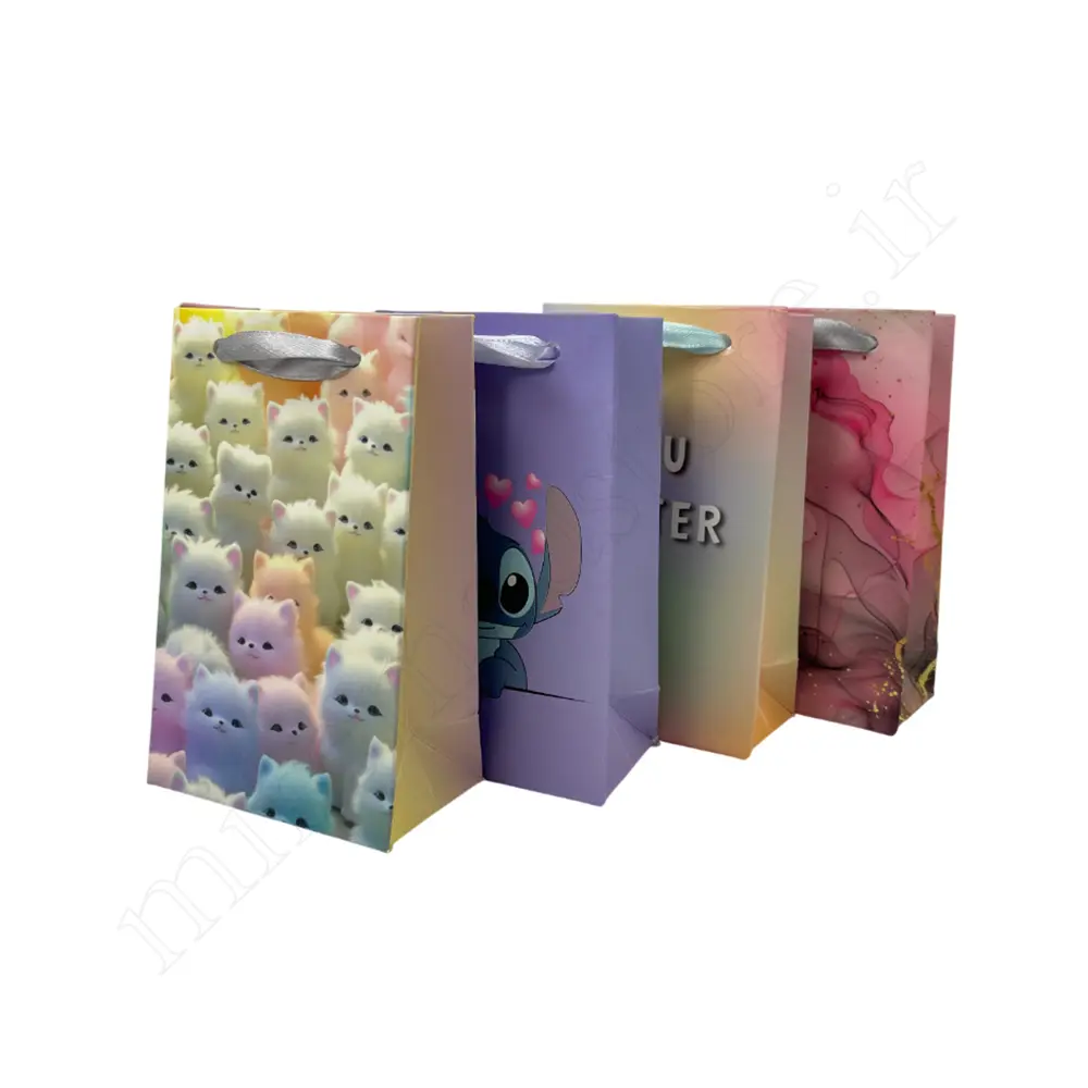 بگ هدیه فانتزی GIFT BAG NO:5538