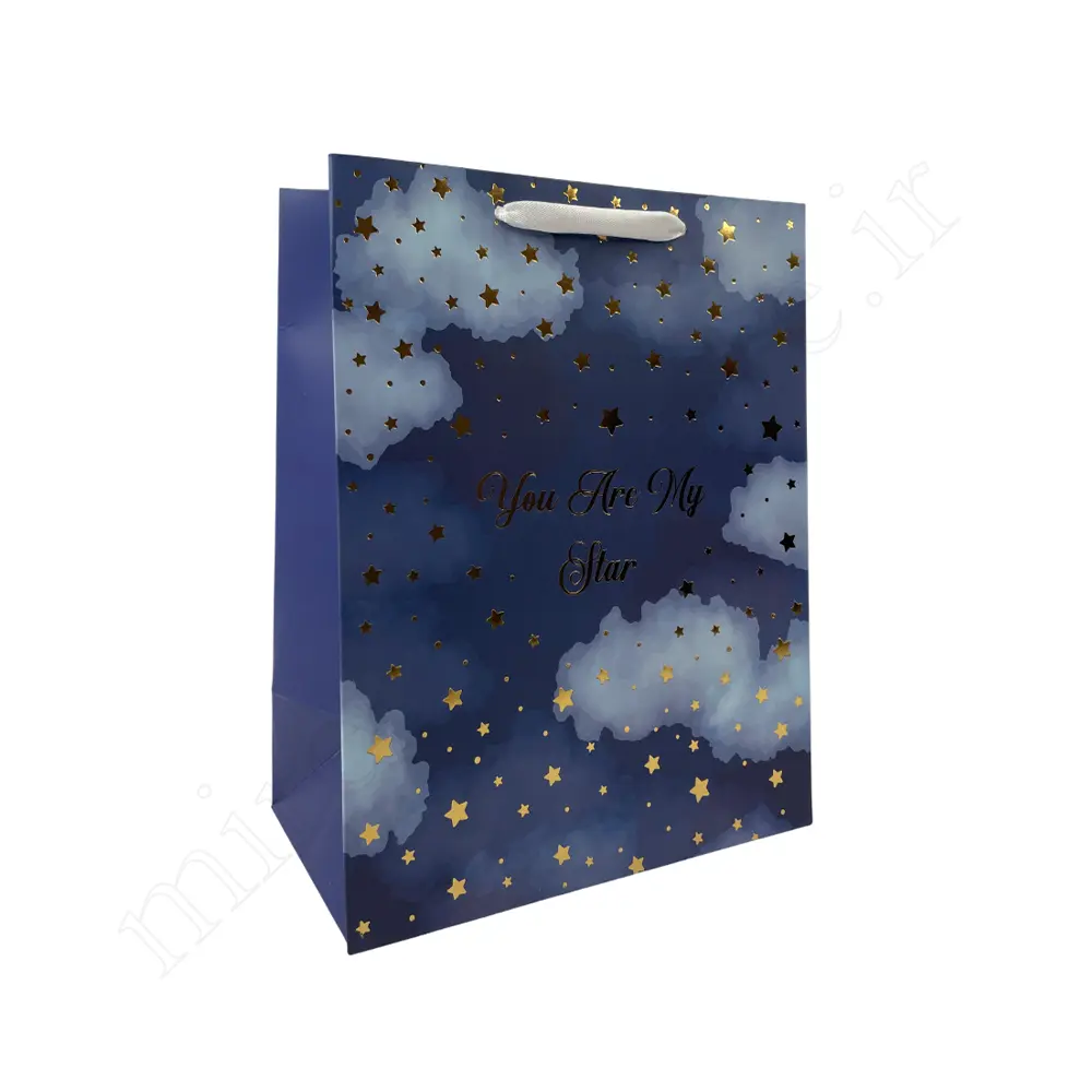 بگ هدیه فانتزیGift Bag NO:GP608