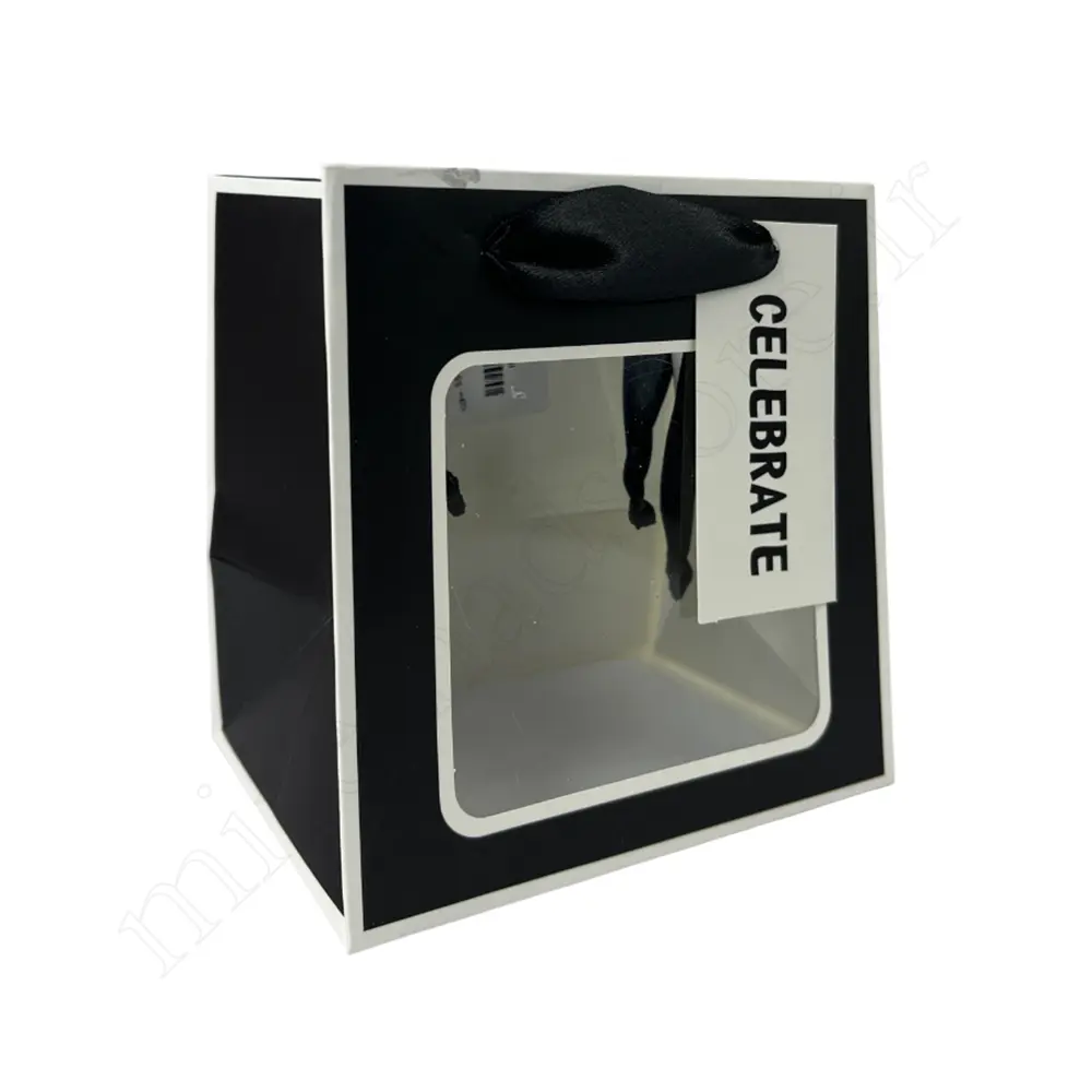 بگ هدیه مینیمال GIFT BAG NO:GP964