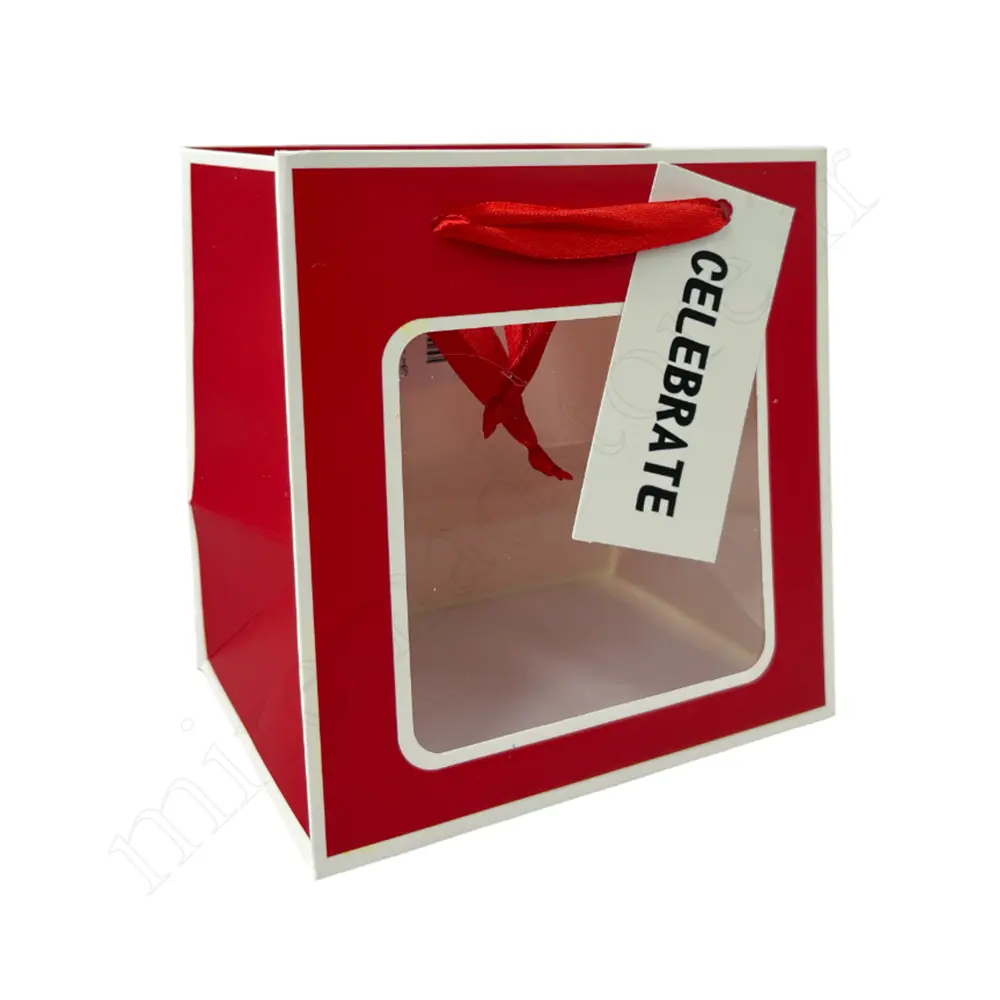 بگ هدیه مینیمال GIFT BAG NO:GP964