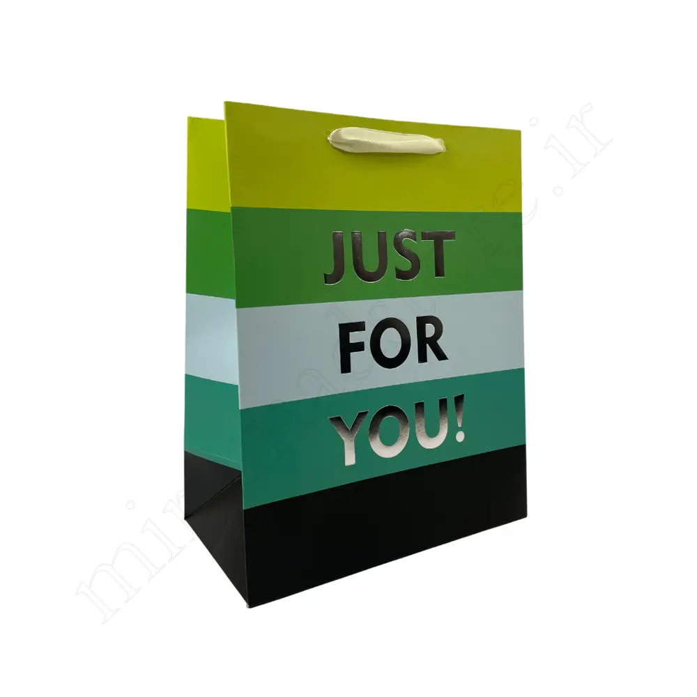 بگ هدیه مینیمالGift Bag NO:GP349