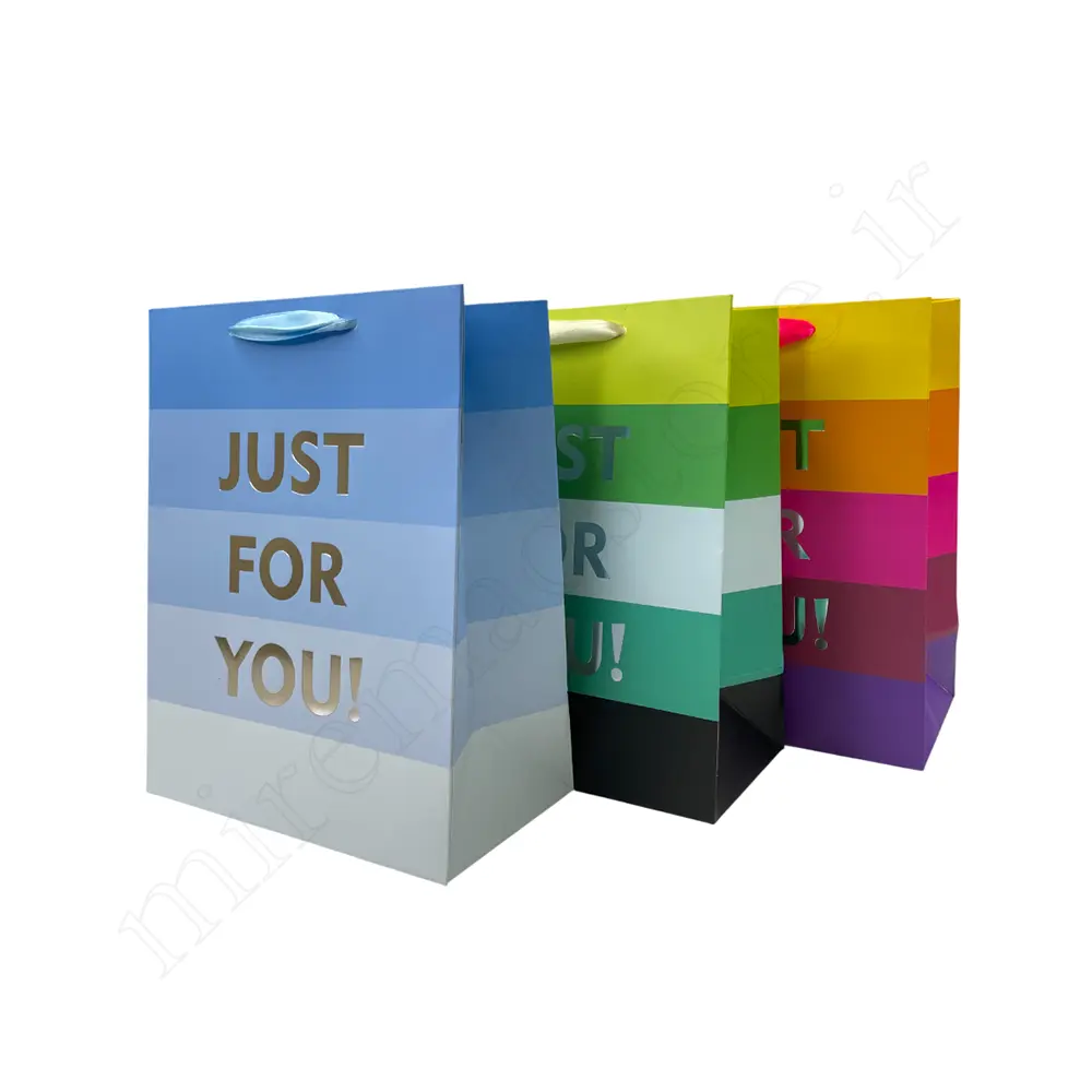 بگ هدیه مینیمالGift Bag NO:GP349