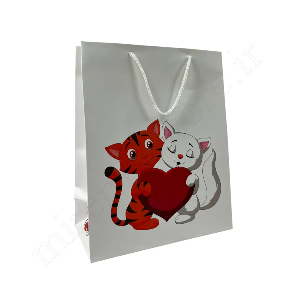 بگ هدیه فانتزیGift Bag NO:MB010100