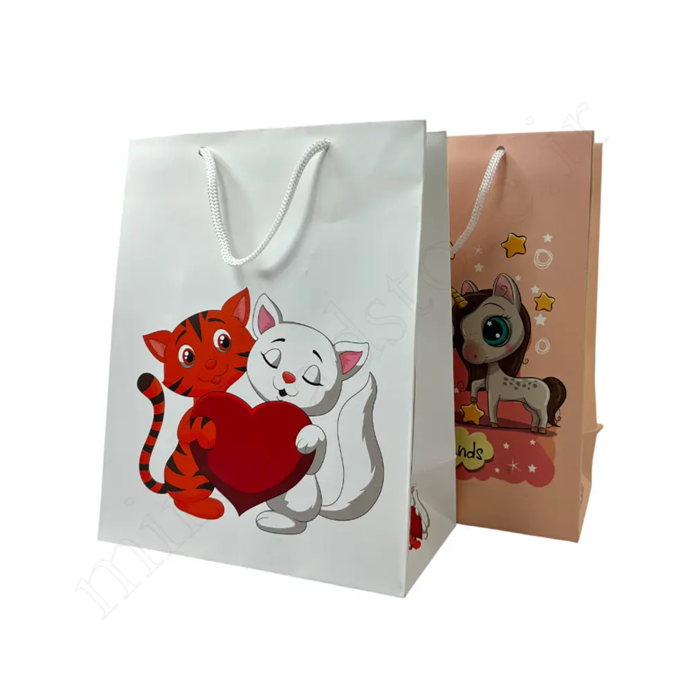 بگ هدیه فانتزیGift Bag NO:MB010100