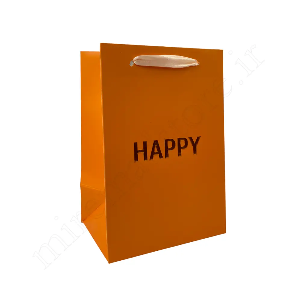 بگ هدیه مینیمال GIFT BAG NO:GP1067