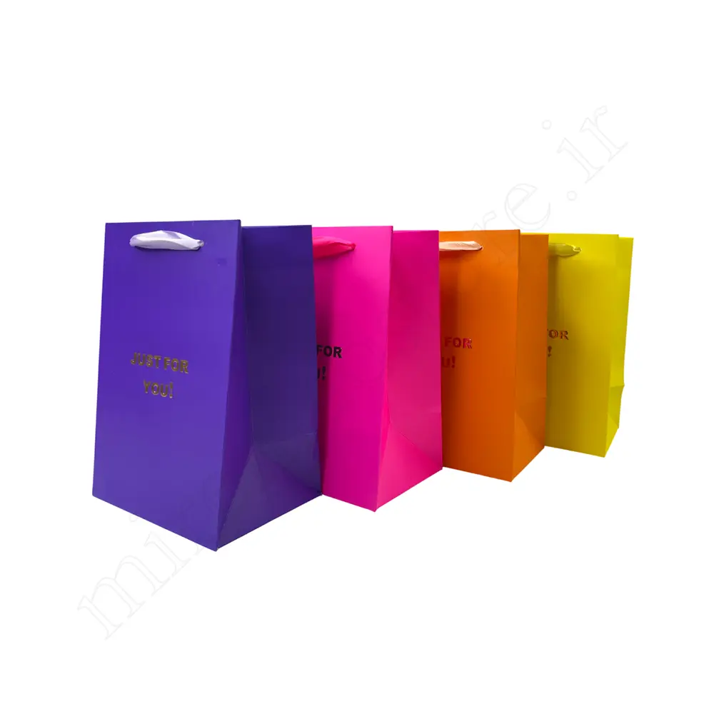 بگ هدیه مینیمال GIFT BAG NO:GP1066