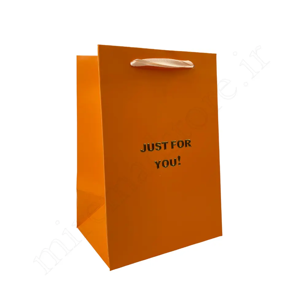 بگ هدیه مینیمال GIFT BAG NO:GP1066