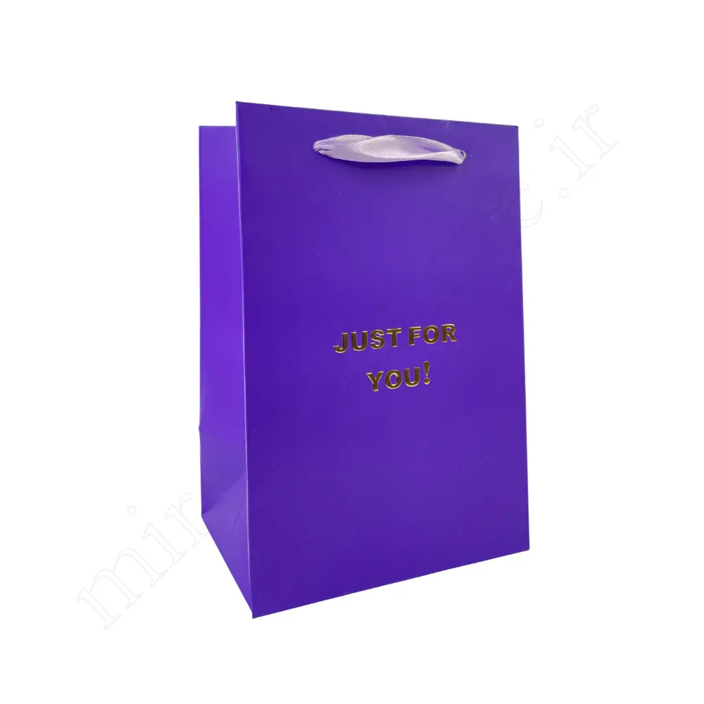 بگ هدیه مینیمال GIFT BAG NO:GP1066