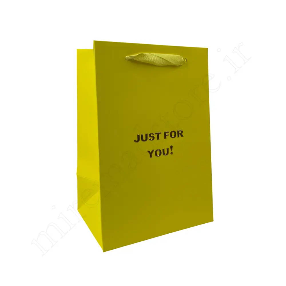 بگ هدیه مینیمال GIFT BAG NO:GP1066