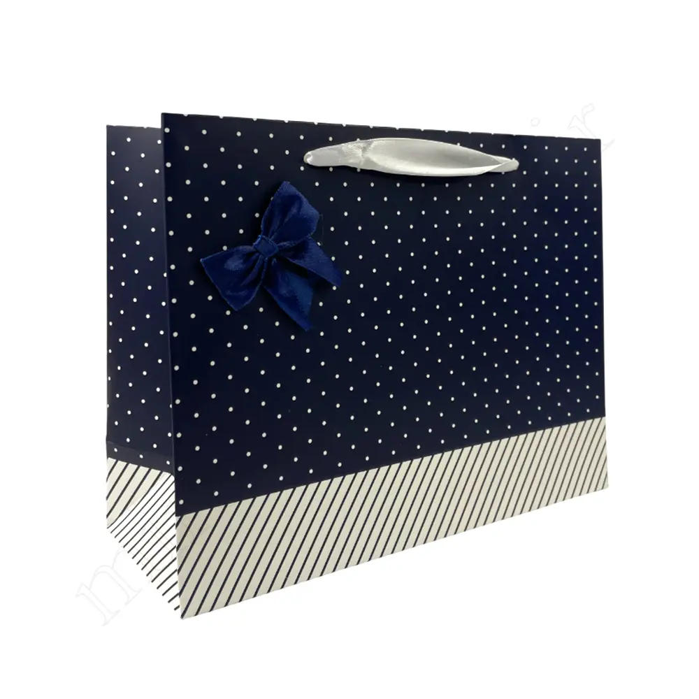 بگ هدیه فانتزیGift Bag NO:GP360