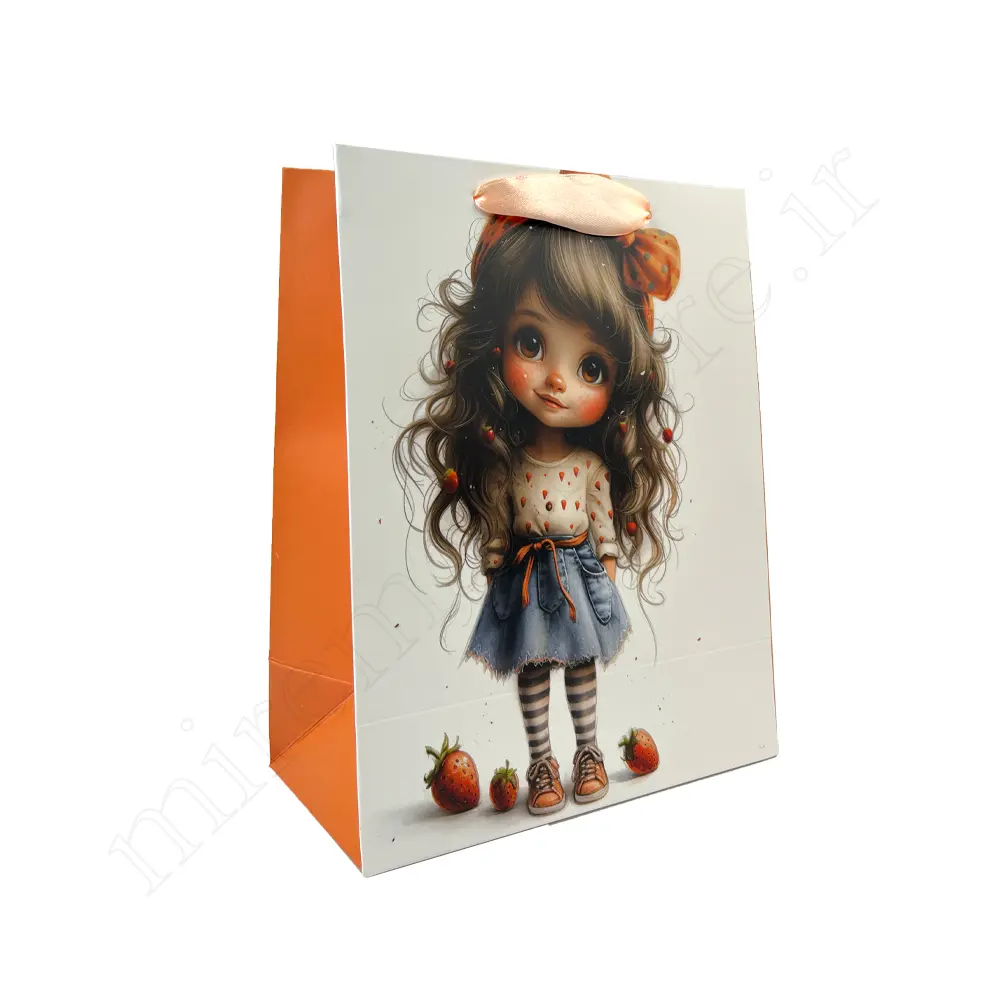 بگ هدیه فانتزی GIFT BAG NO:060109