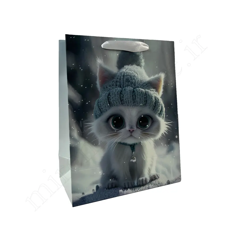 بگ هدیه فانتزی GIFT BAG NO:060109