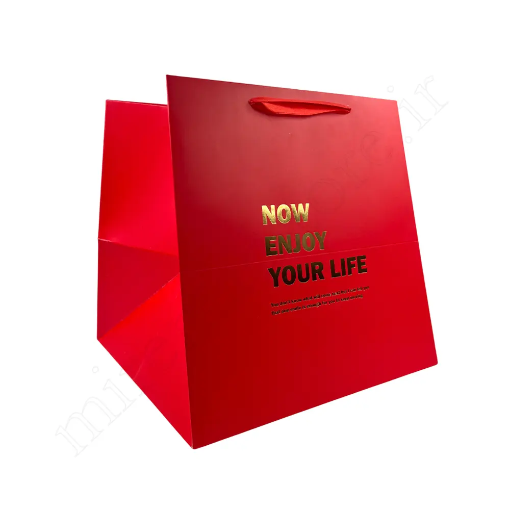 بگ هدیه مینیمال GIFT BAG NO:GP1103