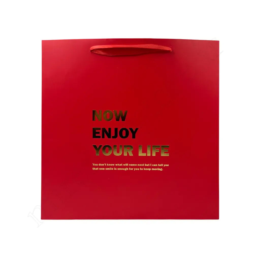 بگ هدیه مینیمال GIFT BAG NO:GP1103