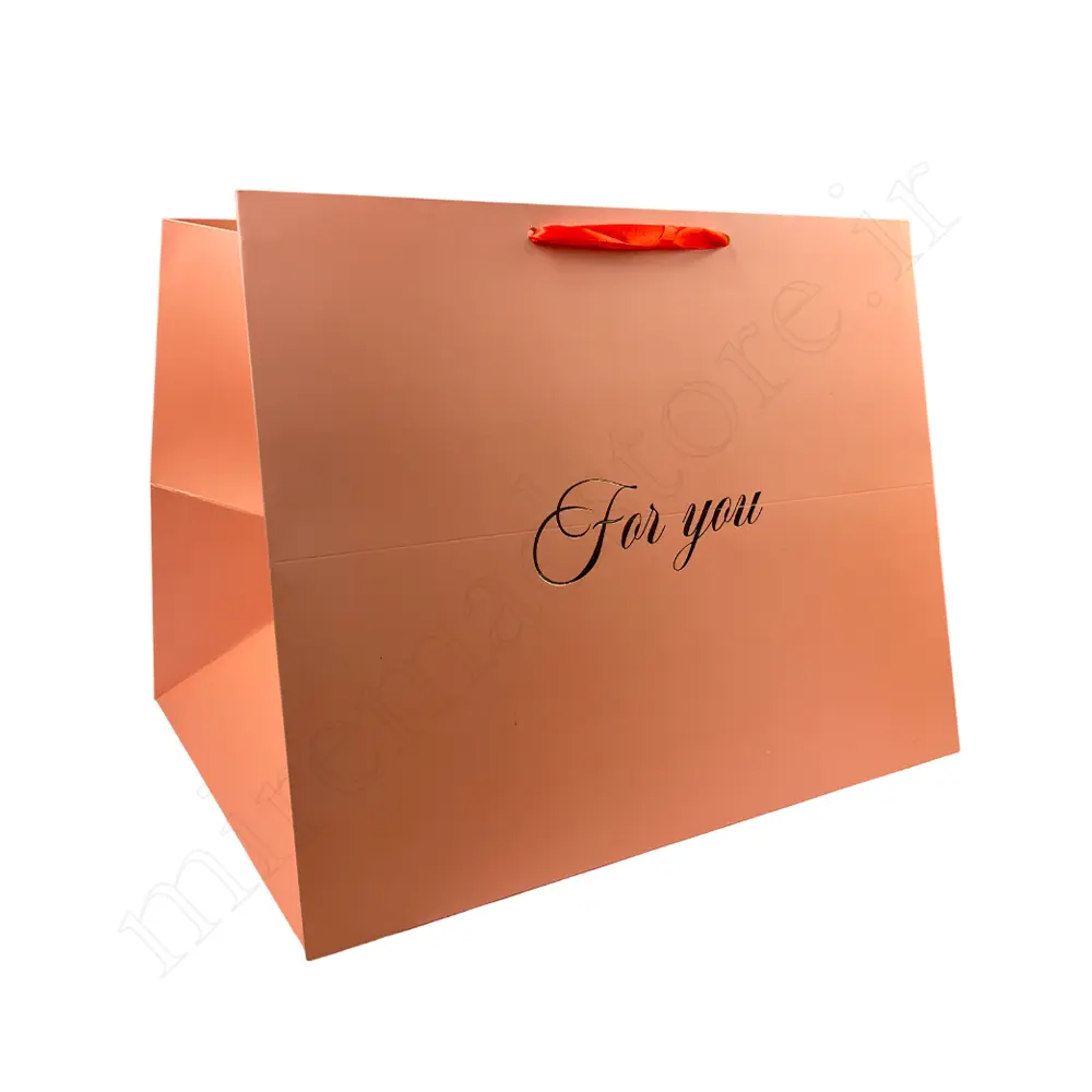 بگ هدیه مینیمال GIFT BAG NO:120104
