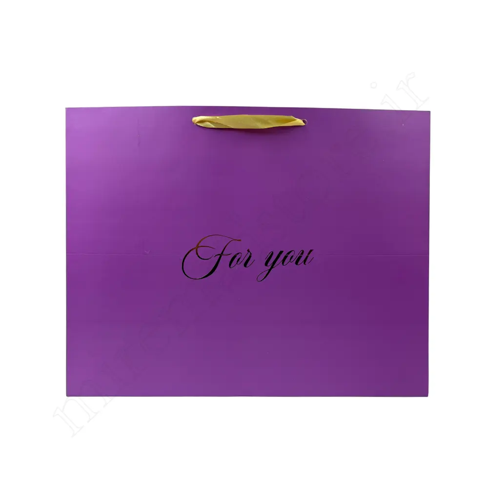 بگ هدیه مینیمال GIFT BAG NO:120104
