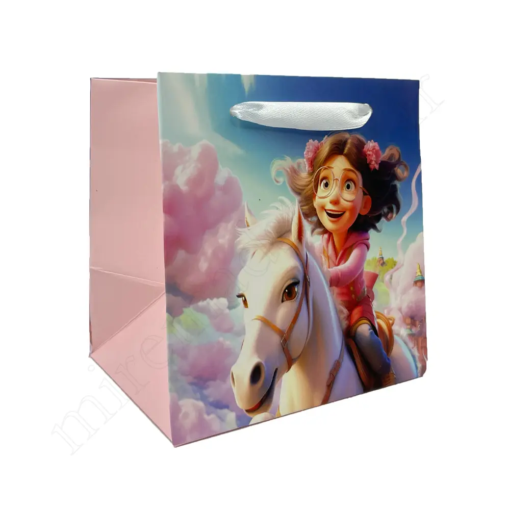 بگ هدیه فانتزی GIFT BAG NO:030105