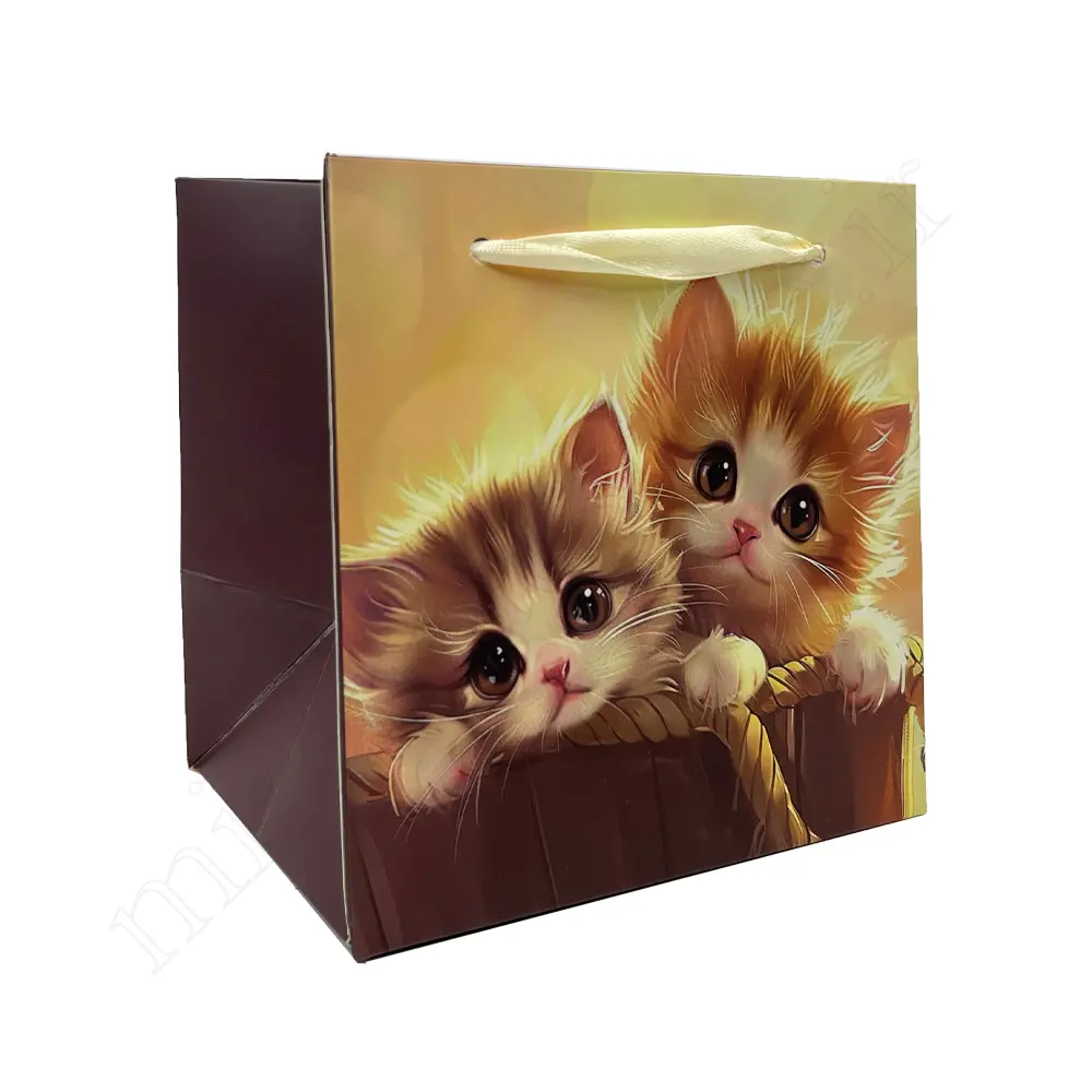بگ هدیه فانتزی GIFT BAG NO:030105