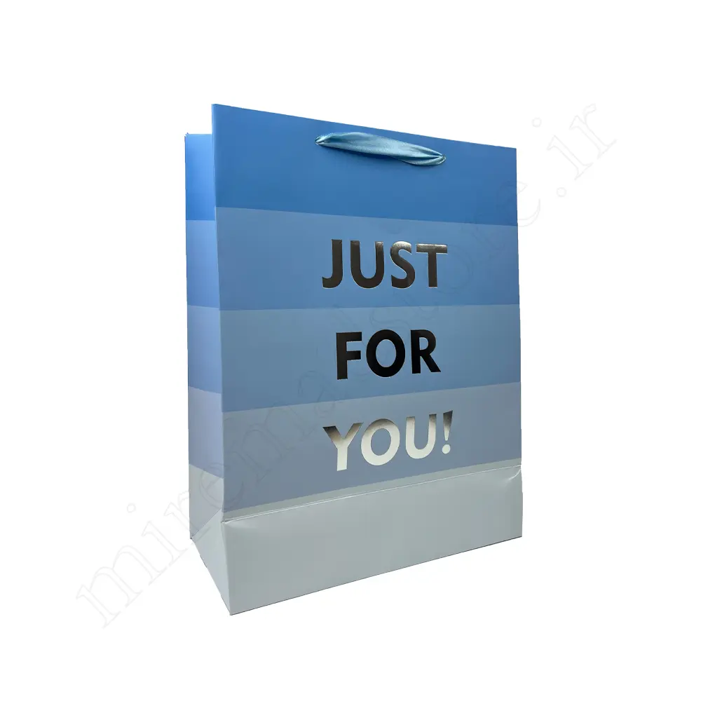 بگ هدیه مینیمال GIFT BAG NO:GP347