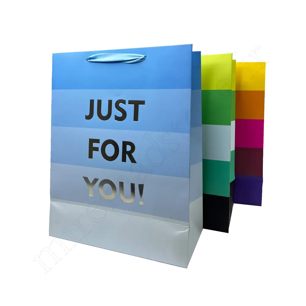 بگ هدیه مینیمال GIFT BAG NO:GP347