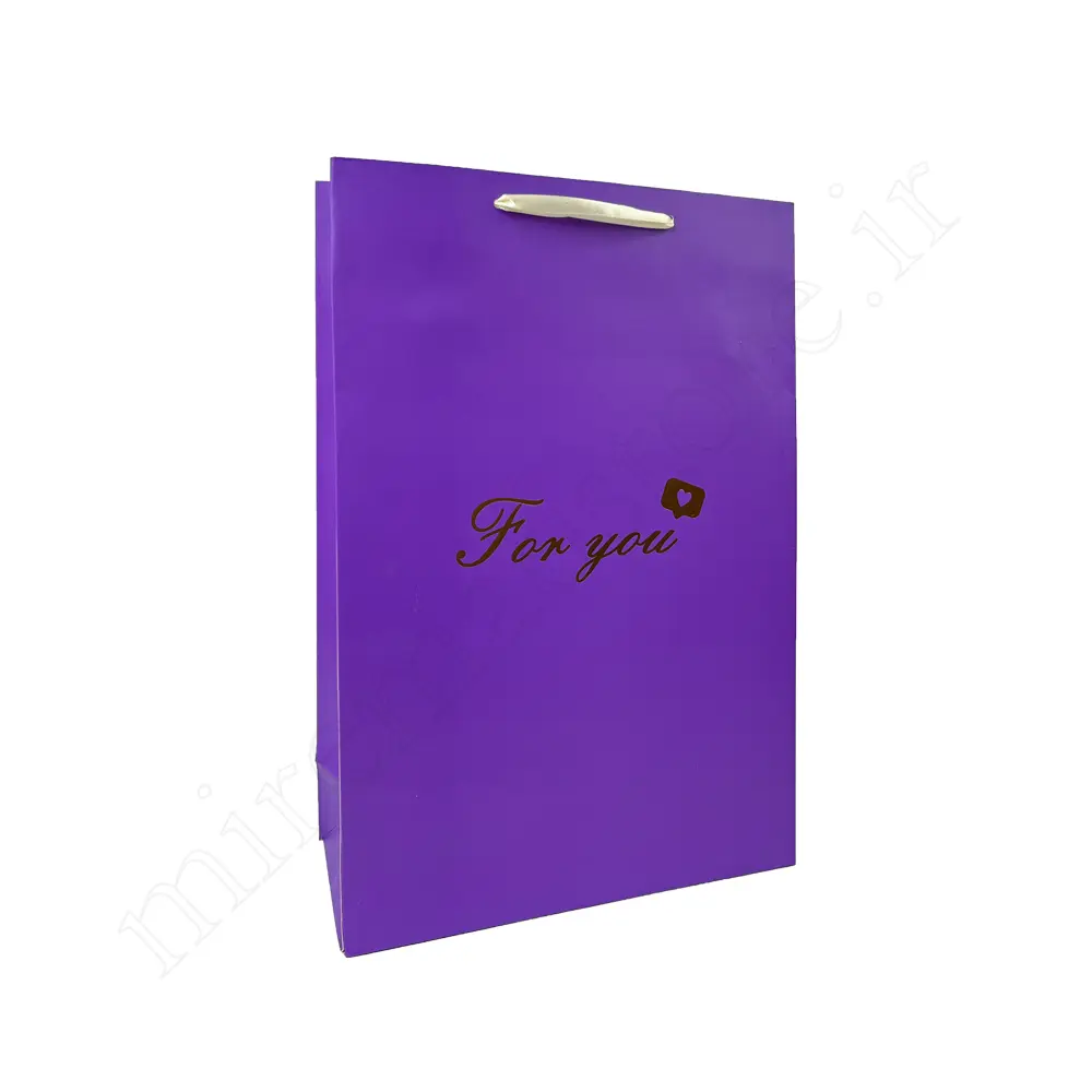 بگ هدیه مینیمال GIFT BAG NO:9539