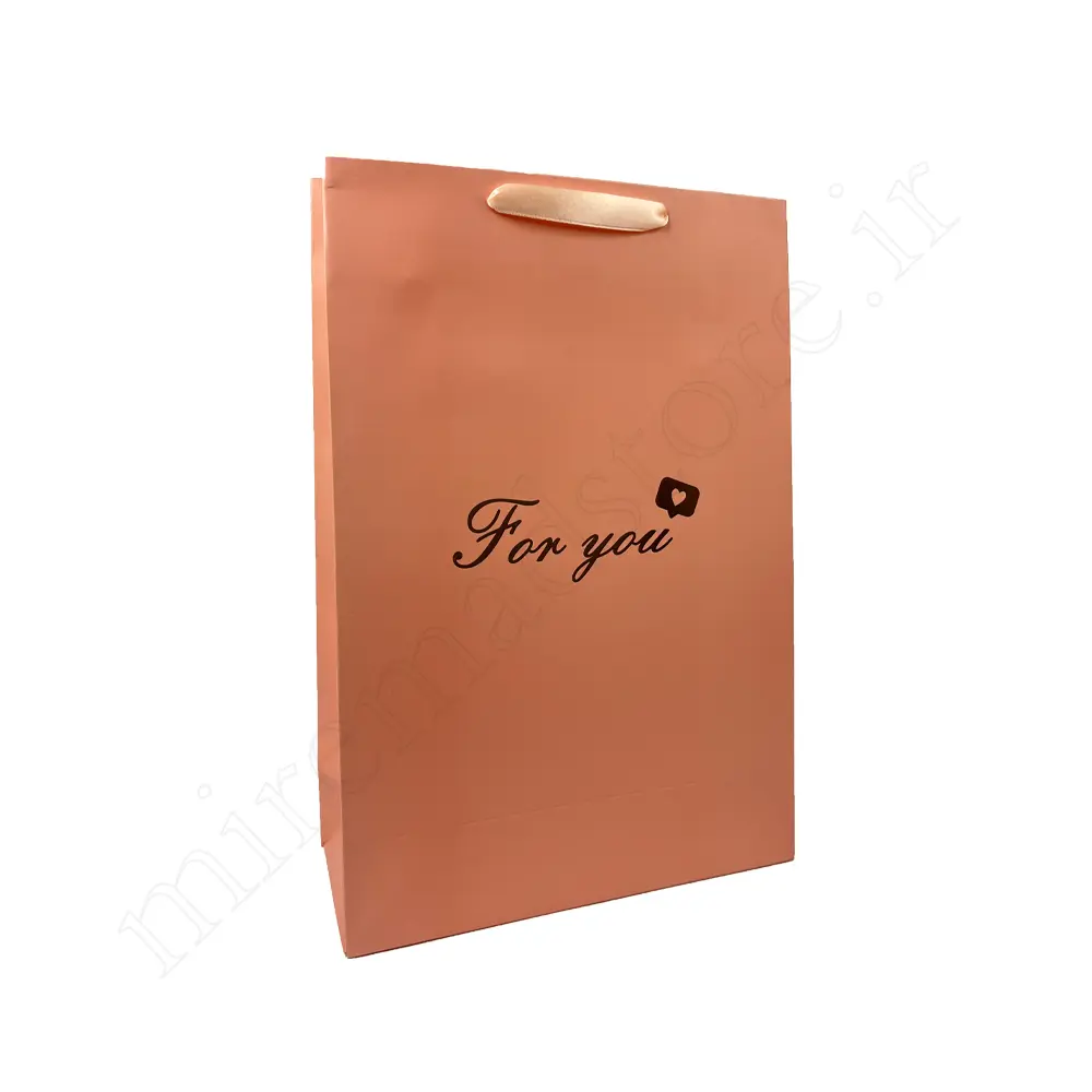 بگ هدیه مینیمال GIFT BAG NO:9539