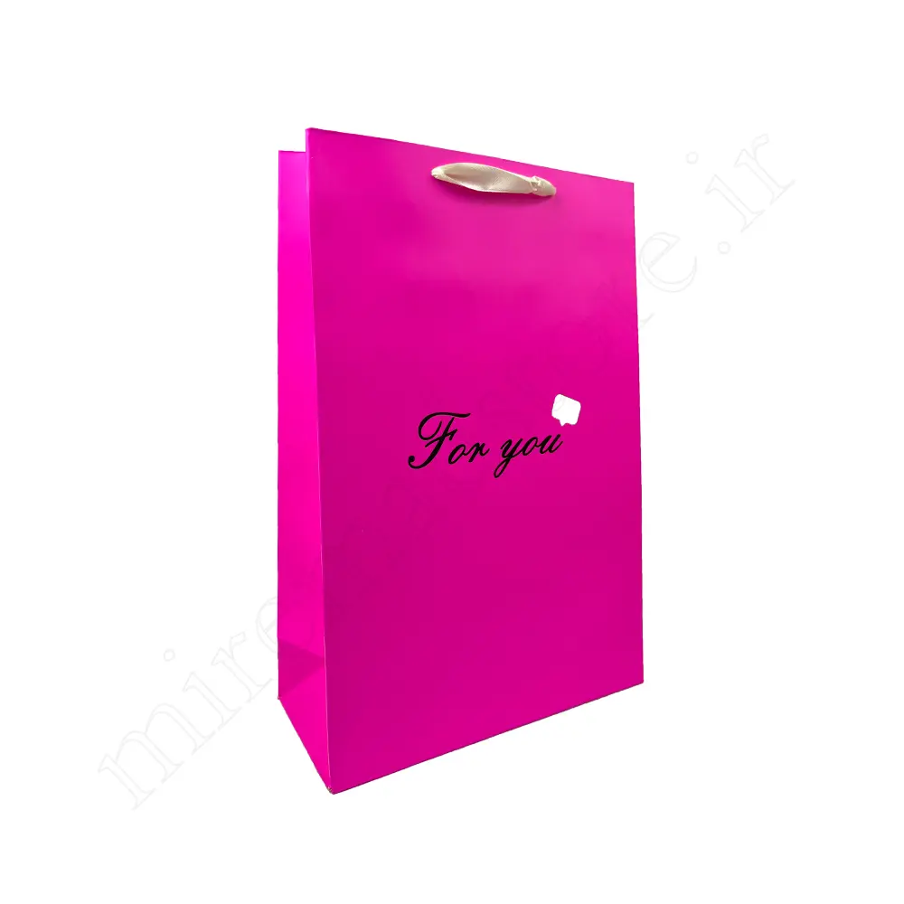 بگ هدیه مینیمال GIFT BAG NO:9539